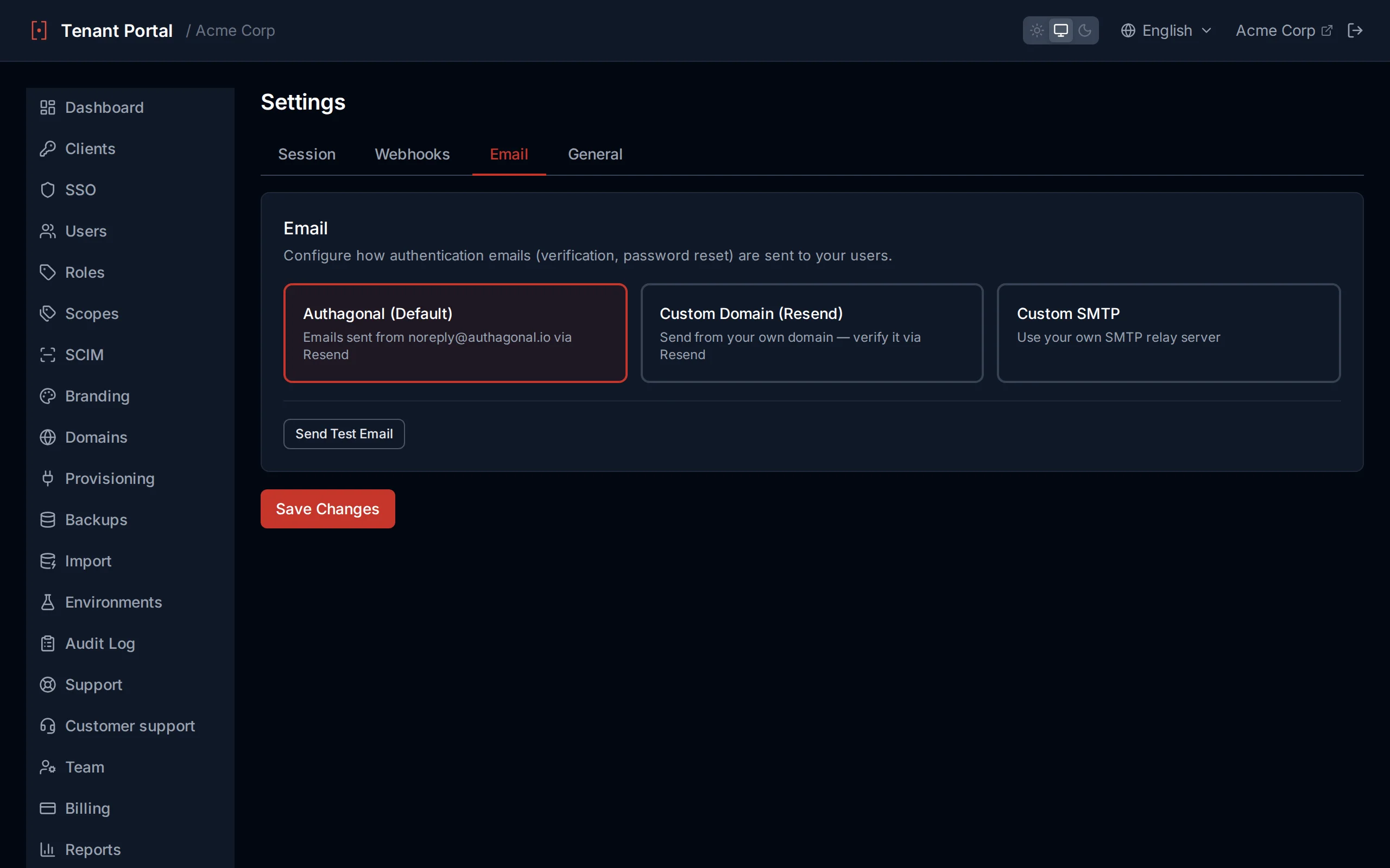Email settings showing provider options (default, Resend domain, custom SMTP) and a test-send