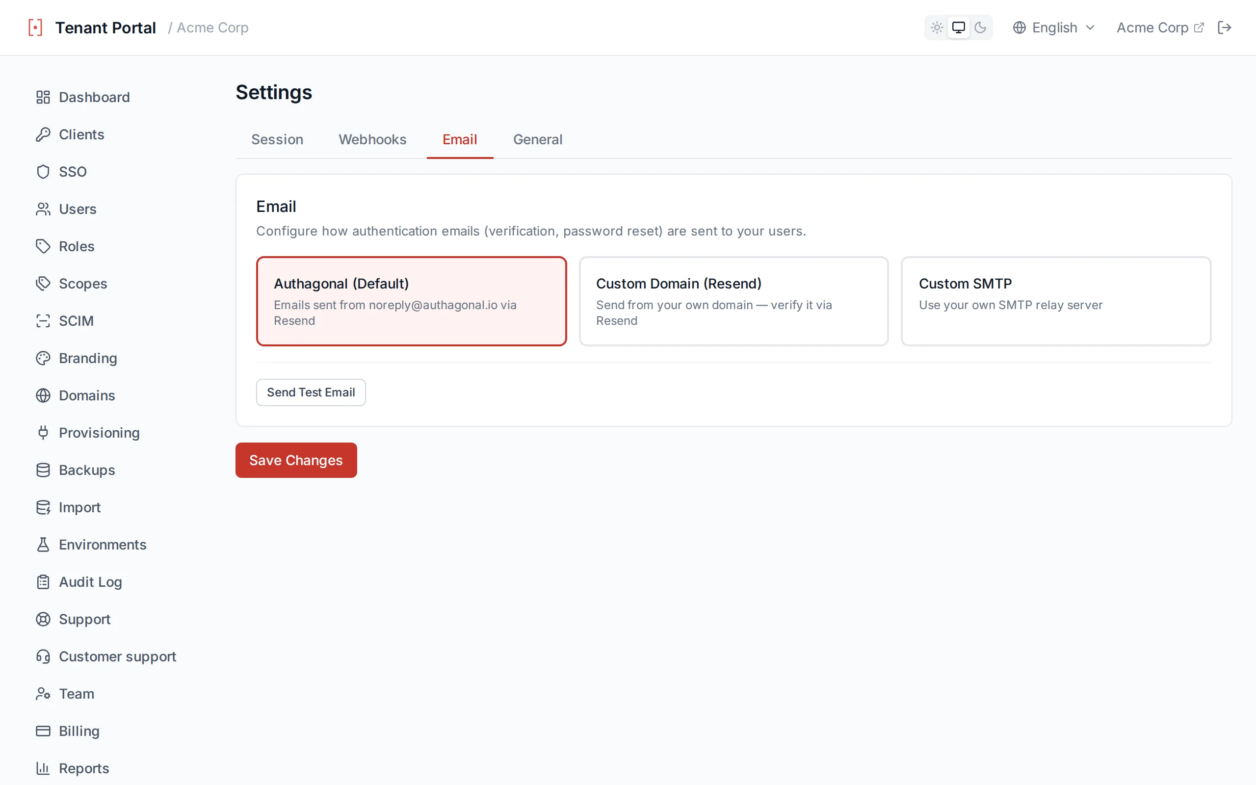 Email settings showing provider options (default, Resend domain, custom SMTP) and a test-send