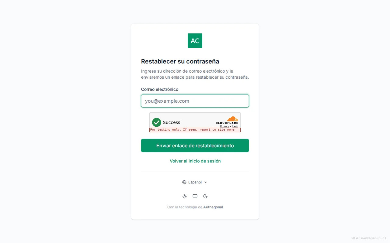 Forgot-password screen with an email field and a neutral check-your-email confirmation state