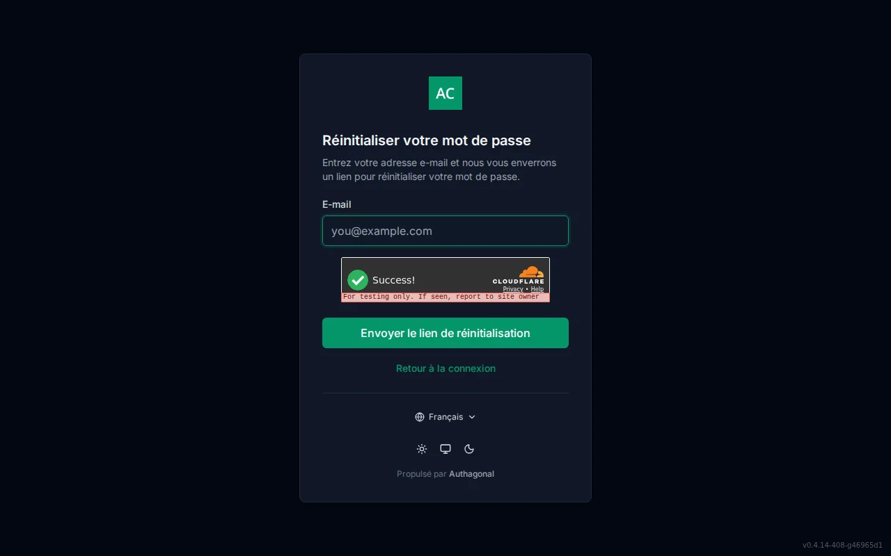 Forgot-password screen with an email field and a neutral check-your-email confirmation state