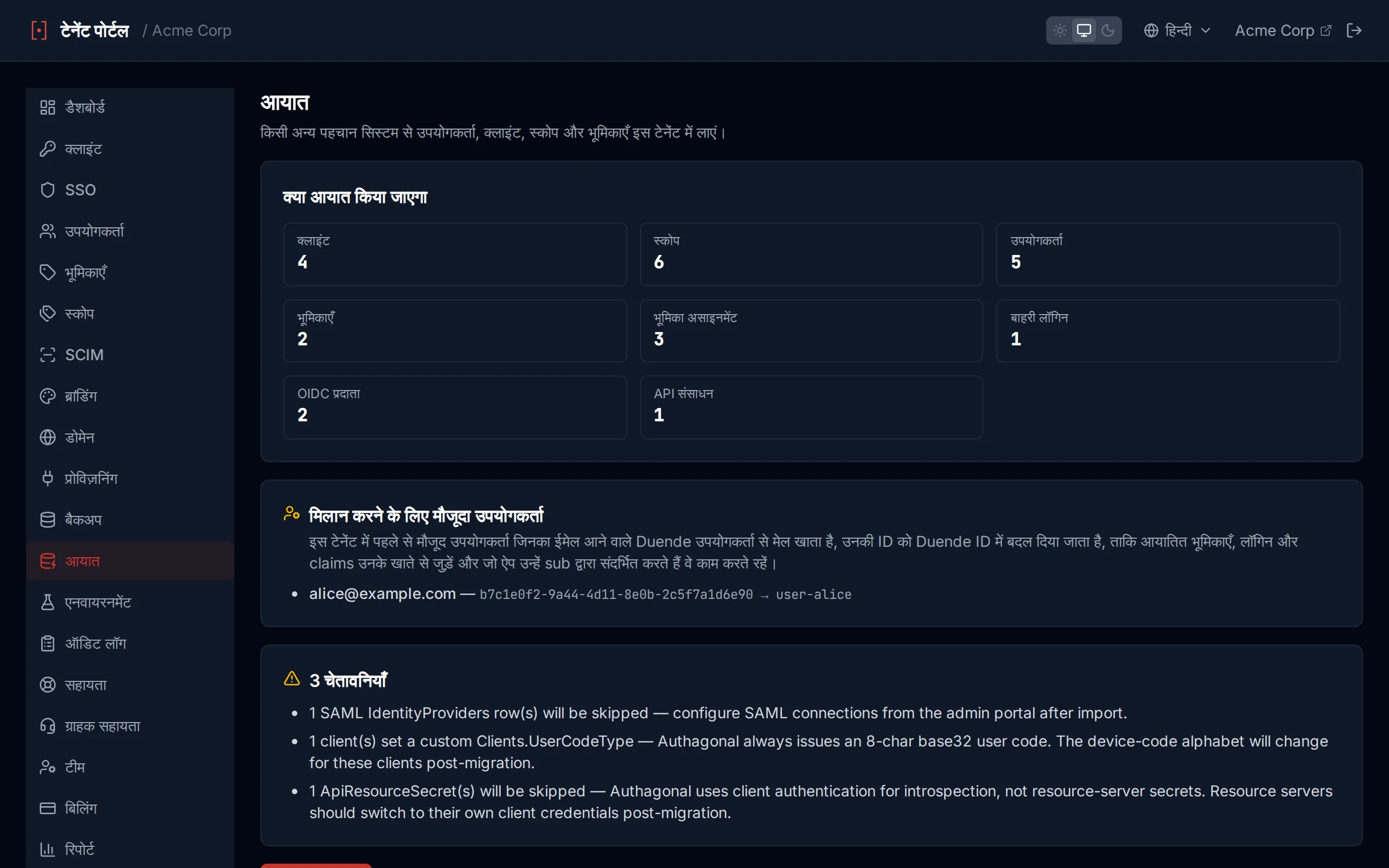 Import preview panel showing entity counts and warnings before committing the import